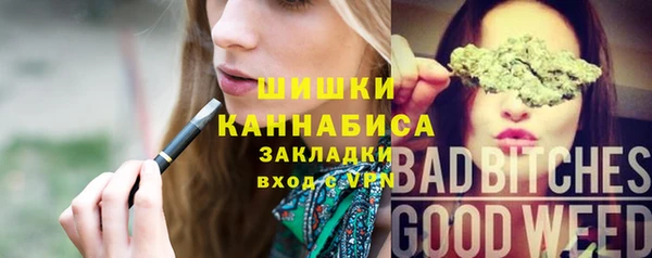 стафф Гусев