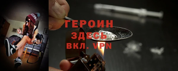 стафф Гусев