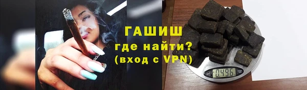 стафф Гусев