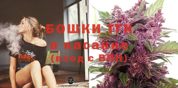 стафф Гусев