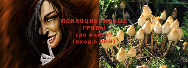 бутират Гусиноозёрск