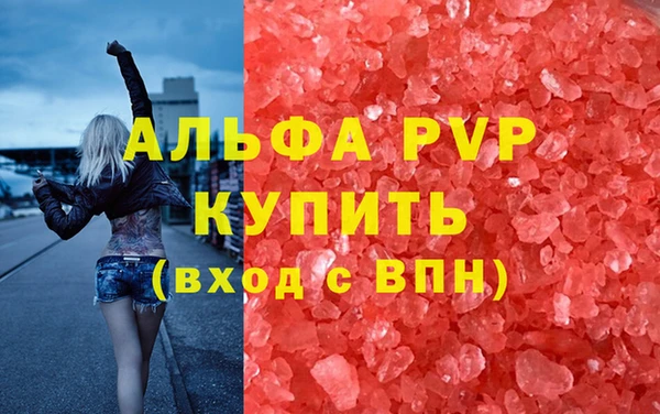 стафф Гусев