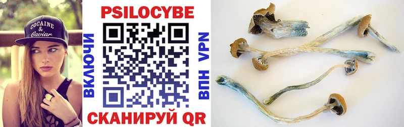Купить  Кохма  Галлюциногенные грибы Cubensis 
