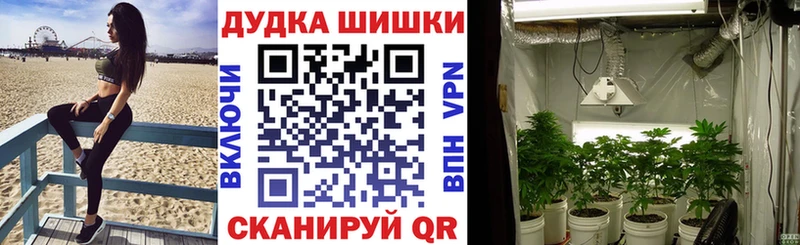 Купить где  Кохма  Бошки Шишки конопля 